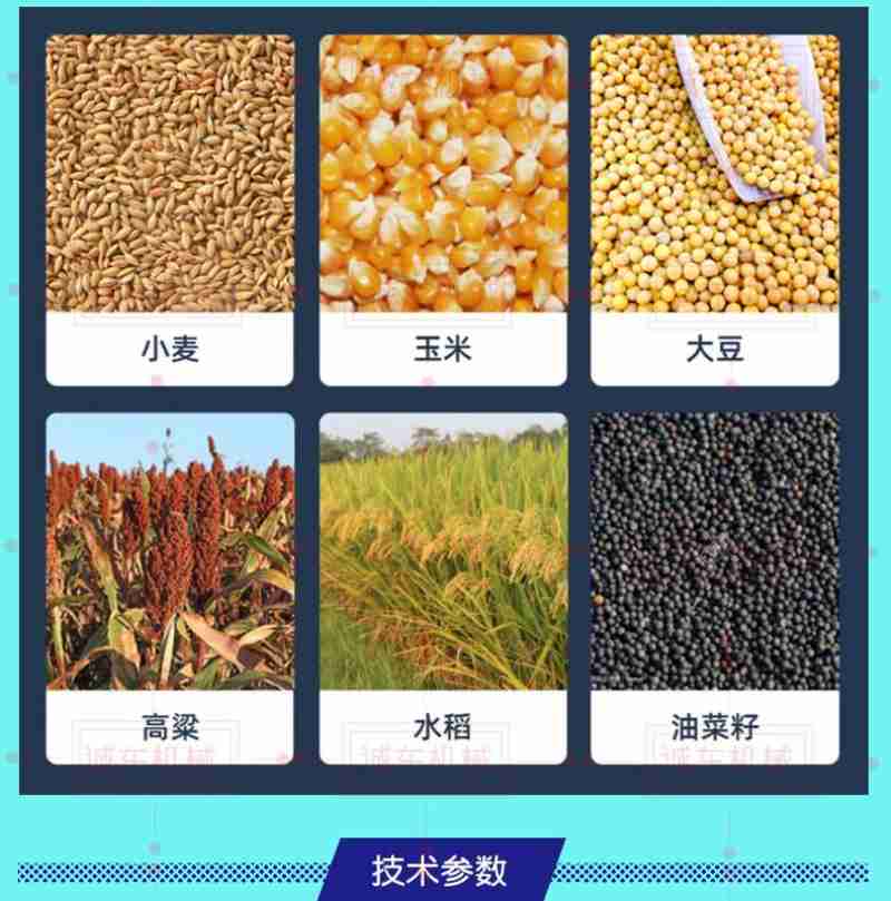 图为藏比乡美巴尔村密芒比赛现场