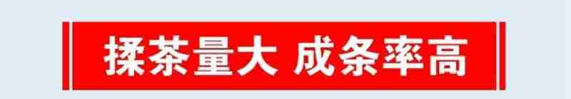 图为藏比乡美巴尔村比赛结束后,获奖者合影留念
