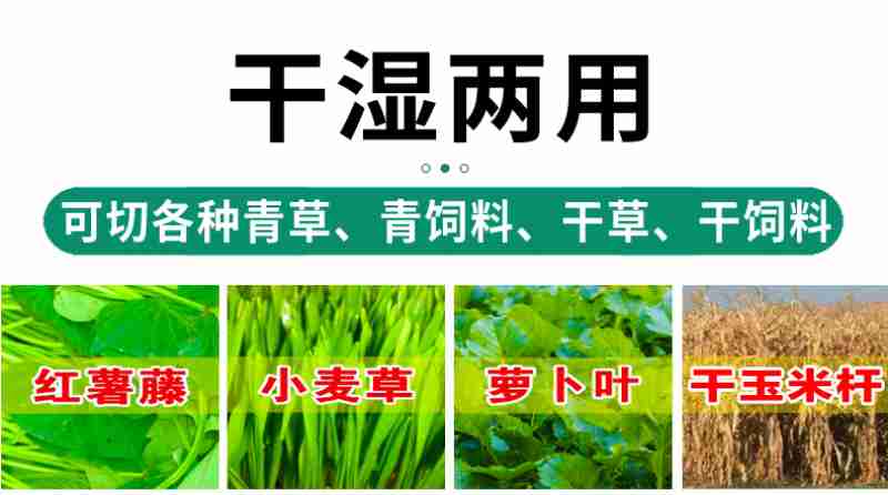 深圳市体育中心体育场(央广网记者 罗世伟 摄)